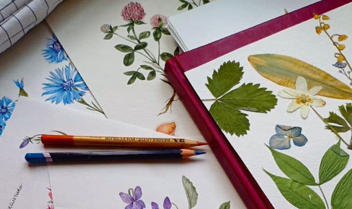 Презентация книги "Акварельный лес"