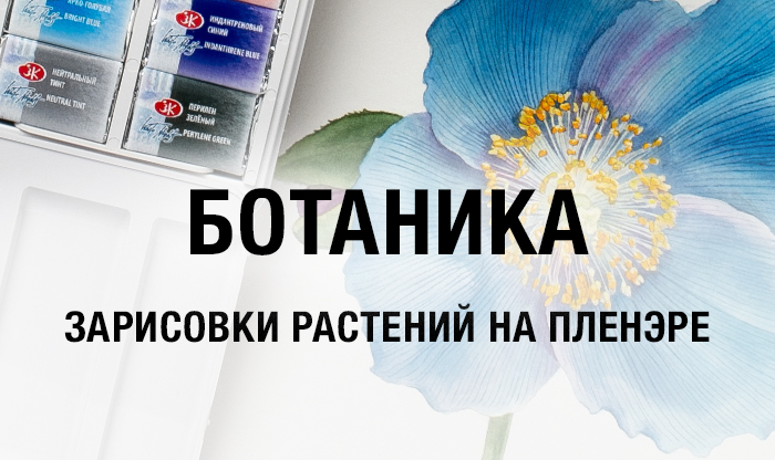 Рисуем ботанику
