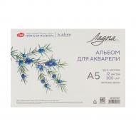 Альбом для акварели ЛАДОГА 300г/кв.м (А5) 148х210мм 12л. склейка крупное зерно хл.100%