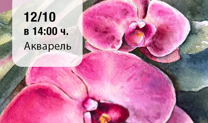 Презентация набора акварели VERONEZE БОТАНИКА! Москва, ЦСИ Винзавод