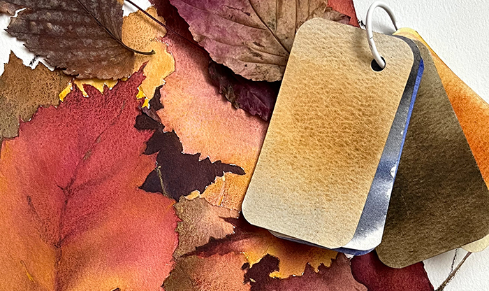 Демо мастер-класс. Акварель. Наталья Попова