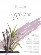 Альбом для акварели SUGARCANE 290г/кв.м 300х400мм 12л. fin хлопок 30%/сахарный тростник 70%